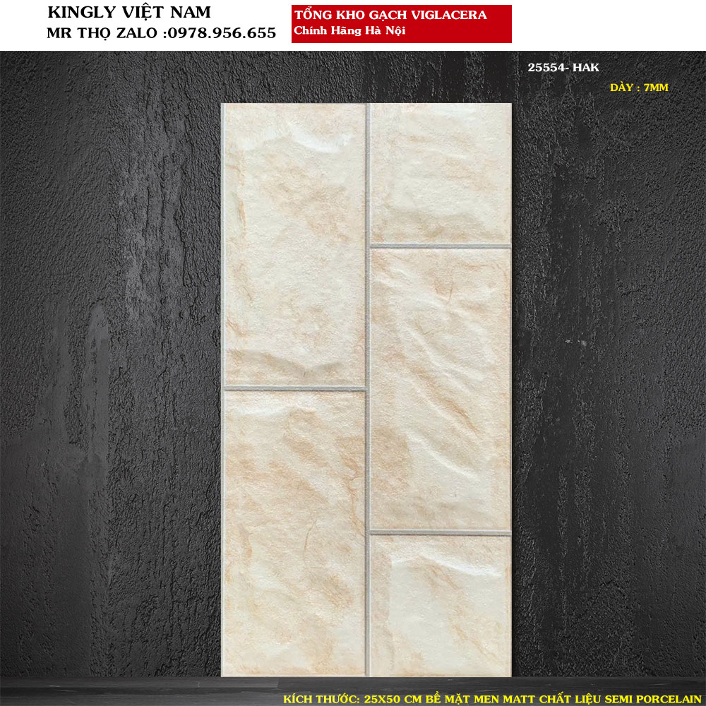 Gạch ốp tường giả đá ngoại thất ngoài trời 25x50 25554